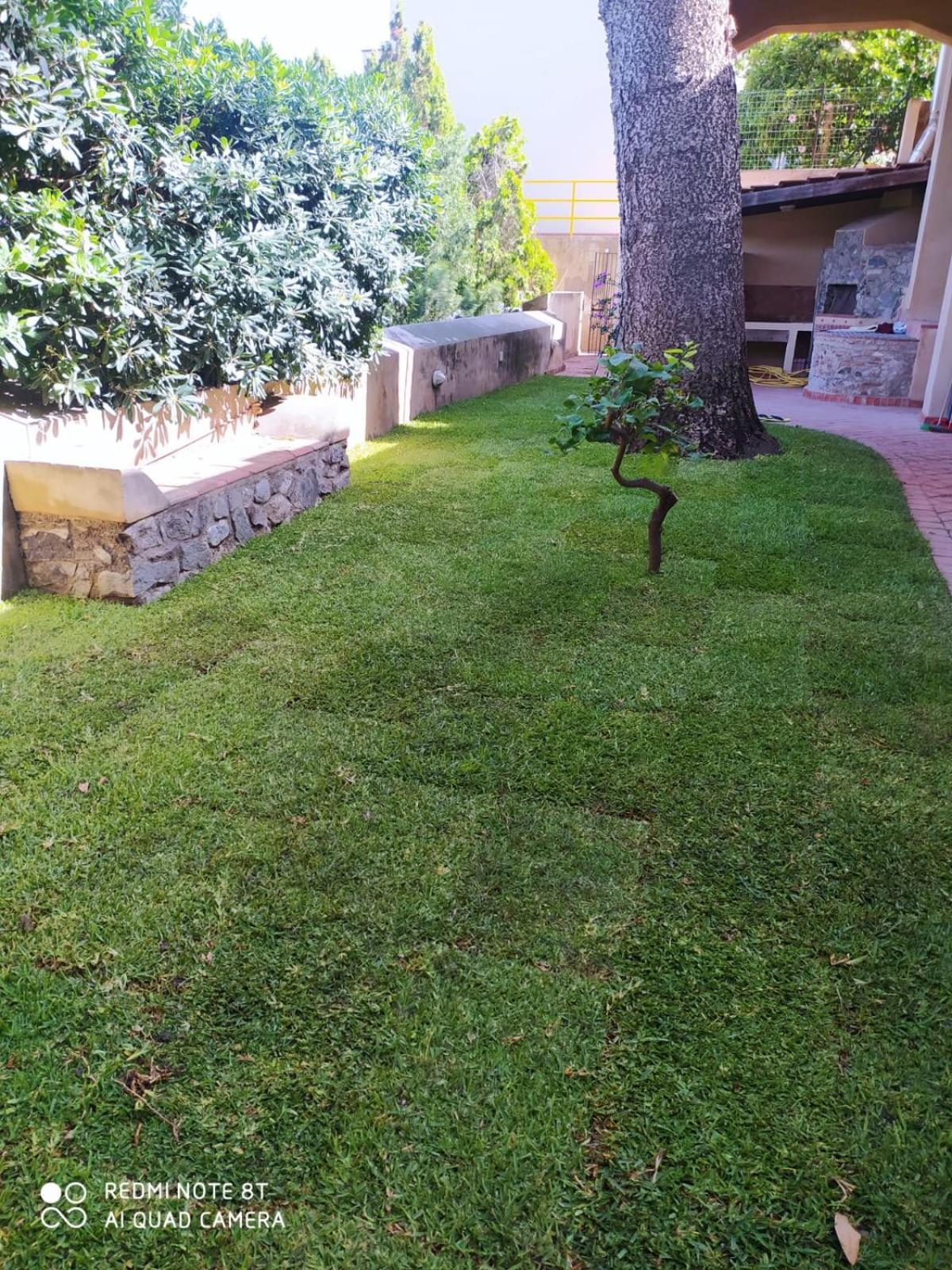 Maison Canopee Messina Buitenkant foto